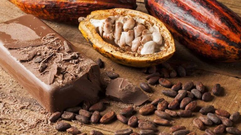 Hacia un mundo sin chocolate? La algarroba se erige en la alternativa al cacao