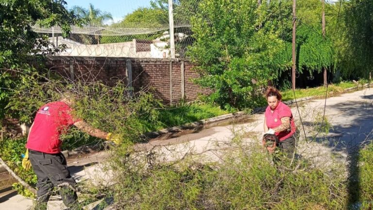Así impactó la tormenta en Córdoba: barrios afectados y daños