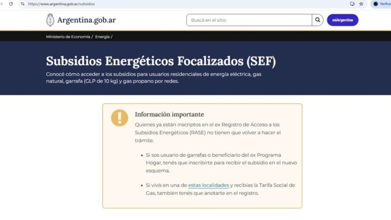 El Gobierno lanzó una web para tramitar los subsidios de luz y gas