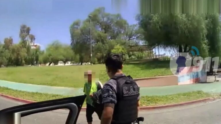 Detuvieron a tres naranjitas en distintos operativos policiales