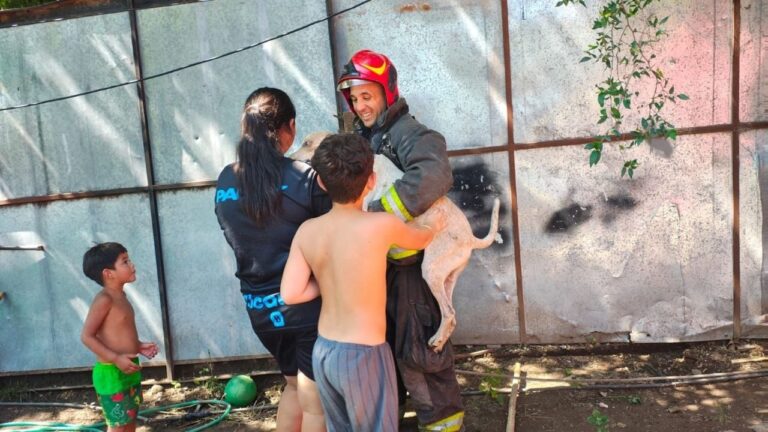 Salvaron a un perro que cayó a un pozo de ocho metros en Córdoba