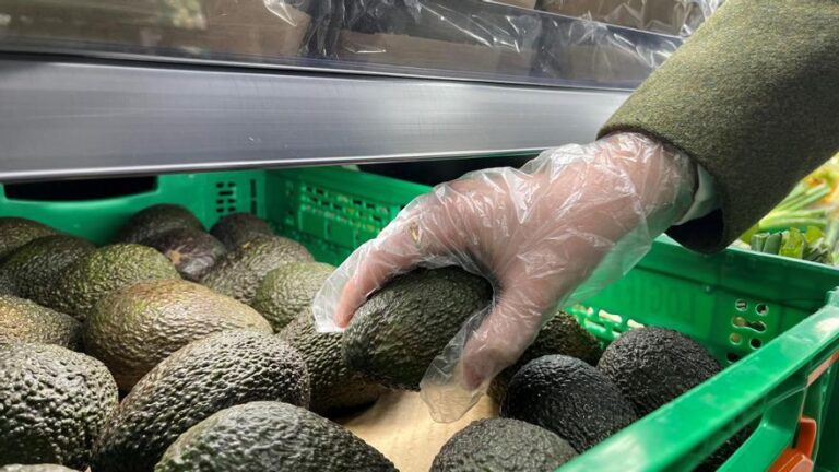 El 95% del aguacate que venderá Mercadona procede de proveedores andaluces durante la campaña nacional, como Trops y Surfruit