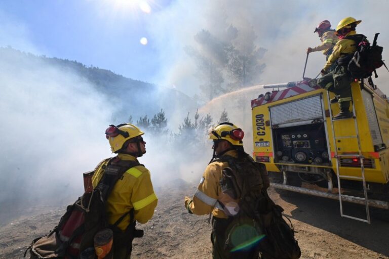 El fiscal desmiente al gobierno y descarta que grupos mapuches hayan provocado los incendios