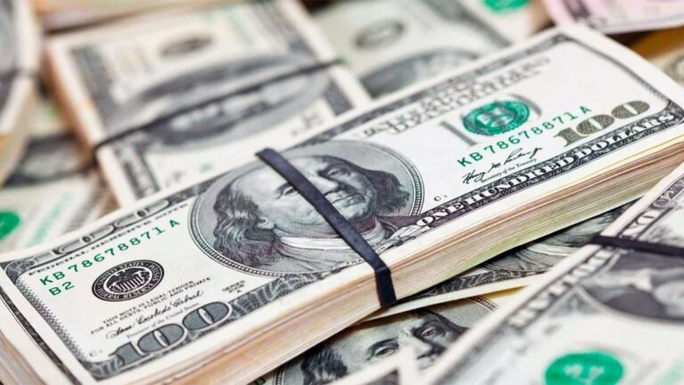 Dólar blue y dólar oficial hoy minuto a minuto: a cuánto cotizan este martes 20 de enero