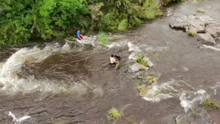 Video: Así rescataron a un perro atrapado por la crecida del río en San Antonio