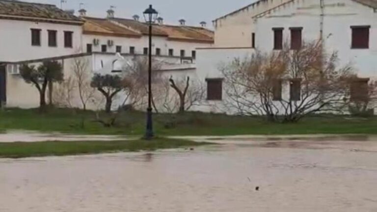 Así está El Rocío, anegado por las últimas lluvias:  «Totalmente saturado, la tierra ya no puede absorber más agua»