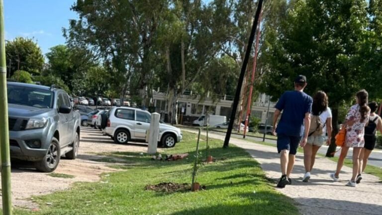 El Playón Municipal de Carlos Paz empieza a cambiar su cara