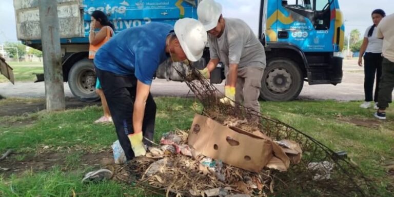 Operativo contra el dengue en Córdoba: cronograma semanal para siete barrios