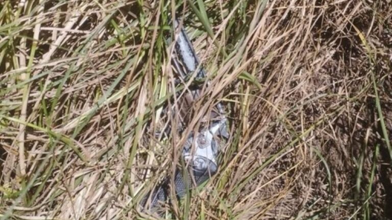 Discutió en la vereda, extrajo un arma y comenzó a disparar