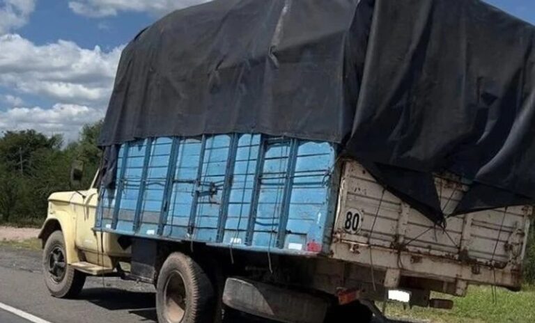 Córdoba: se llevaban 32 cabritos y un lechón y los atraparon