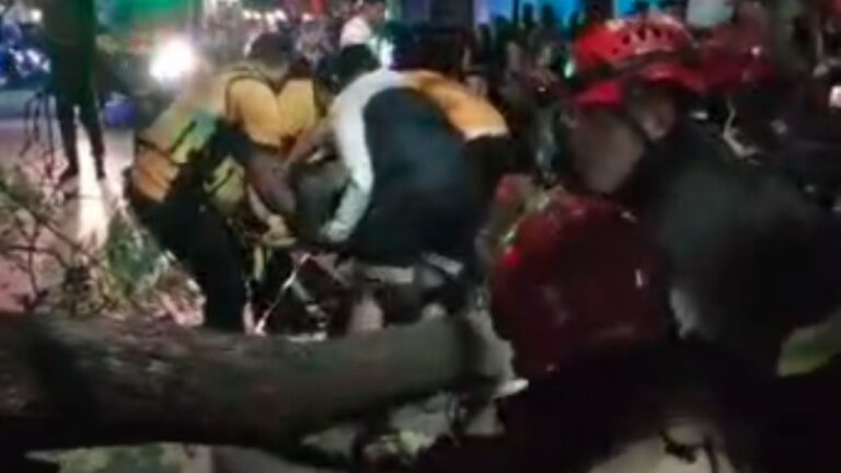 Dramático rescate en Nueva Córdoba: un árbol cayó sobre un repartidor