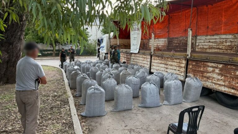 Secuestran más de 1.300 kilos de hoja de coca en un camión