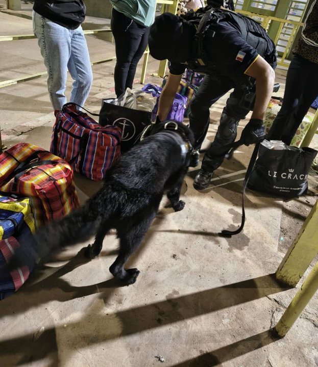 Bouwer: quedó detenido al intentar ingresar drogas a la cárcel