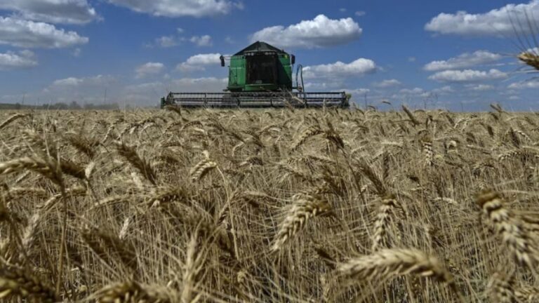 Guerra: se disparó el precio de un insumo agrario clave