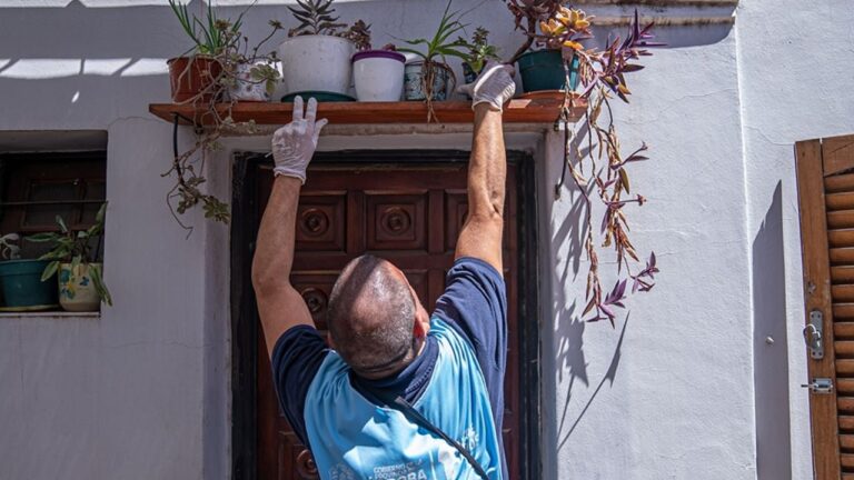 Confirmaron el primer caso autóctono de dengue en Córdoba