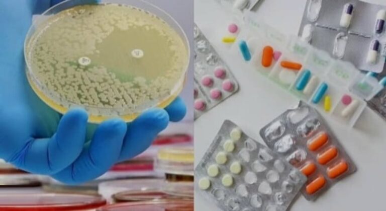 Laboratorio de investigación de la UNC trabajando con muestras antimicrobianas