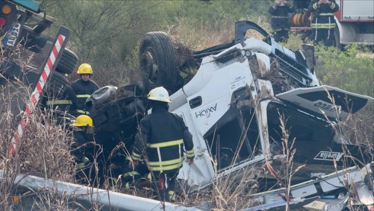 Camión volcado en la banquina de la Autovía 19 transportando cerdos