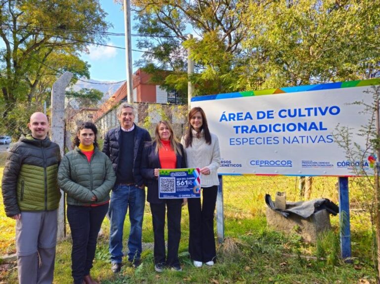 Plantines de sen de campo donados por CEPROCOR a la Municipalidad de Córdoba