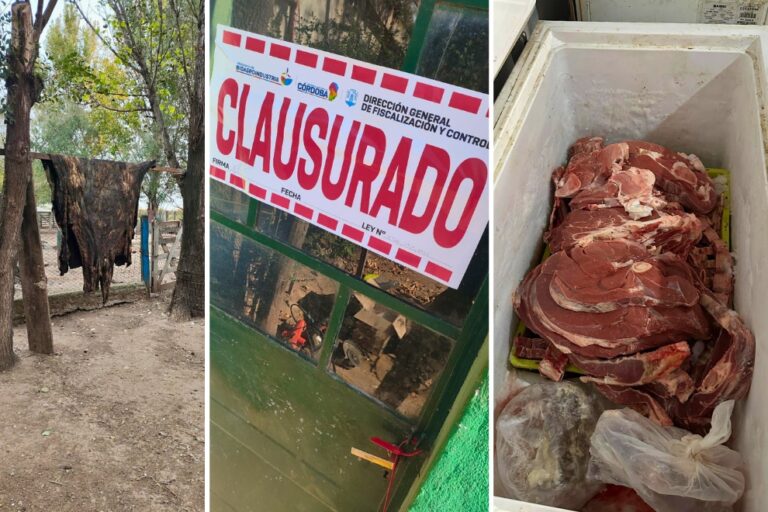 Clausura de establecimiento por faenamiento clandestino en Hernando, Córdoba