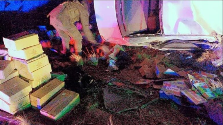 Vehículo volcado en ruta nacional 7 cerca de Uspallata