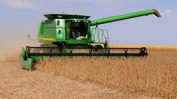 Campo cordobés afectado por sequía