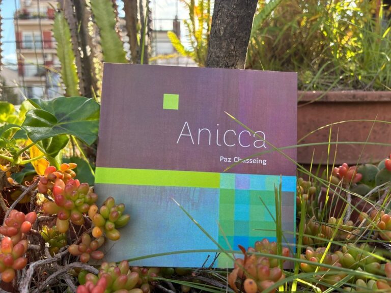 Portada del libro Anicca de Paz Chasseing