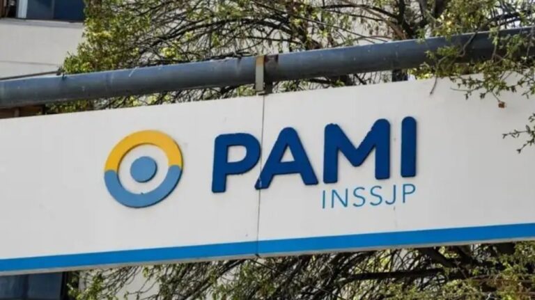 Documento del Boletín Oficial con la resolución del auxilio financiero al PAMI