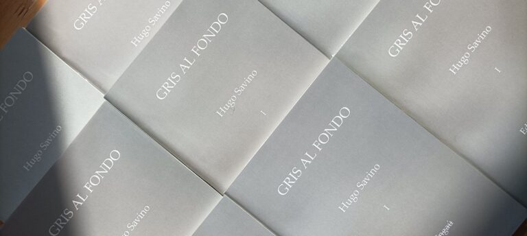 Portada del libro Gris al Fondo de Hugo Savino