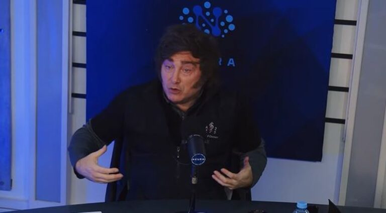 Javier Milei durante una entrevista