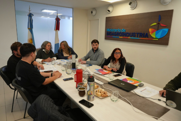 Huerta escolar en un establecimiento educativo de Córdoba