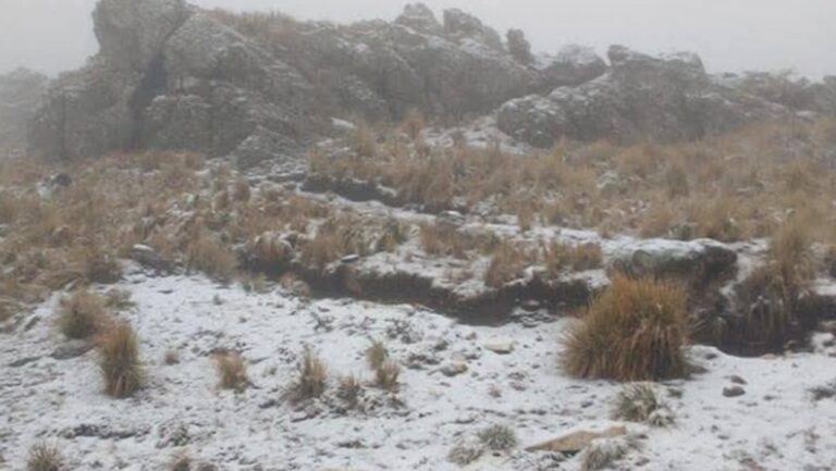 Cerro Champaquí cubierto de nieve durante la primera nevada del 2026 en Córdoba