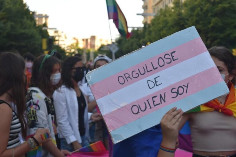 Portada del libro Luchas travestis/trans en Argentina