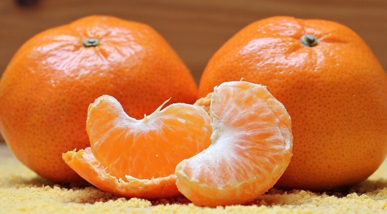 Fiesta Provincial de la Mandarina en Quilino