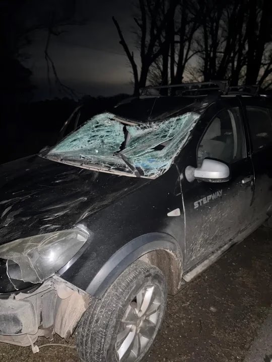 Automóvil dañado tras choque contra caballo suelto en ruta nacional 19