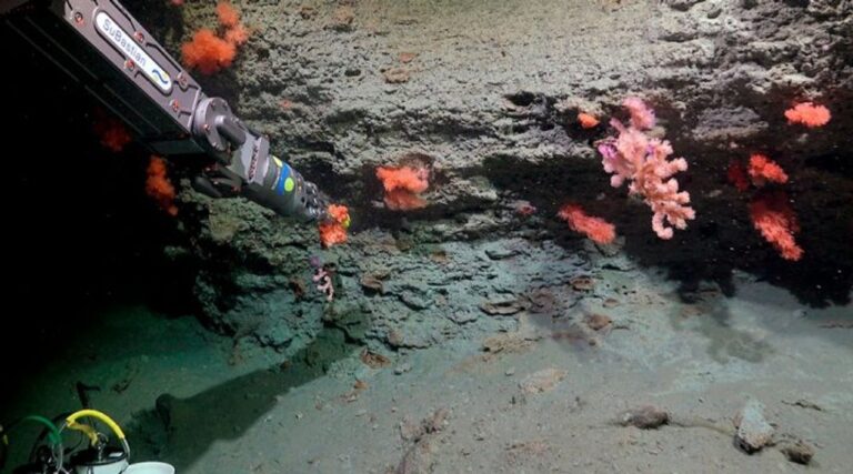 Buque de investigación Falkor (too) en el mar
