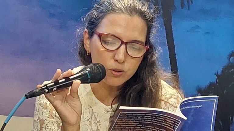 Portada de la novela Faena de Virginia Bordón Carabajal