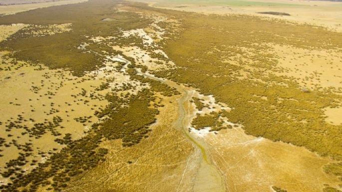 Vista de la Laguna de Pocho, un humedal salino en el departamento Pocho, Córdoba