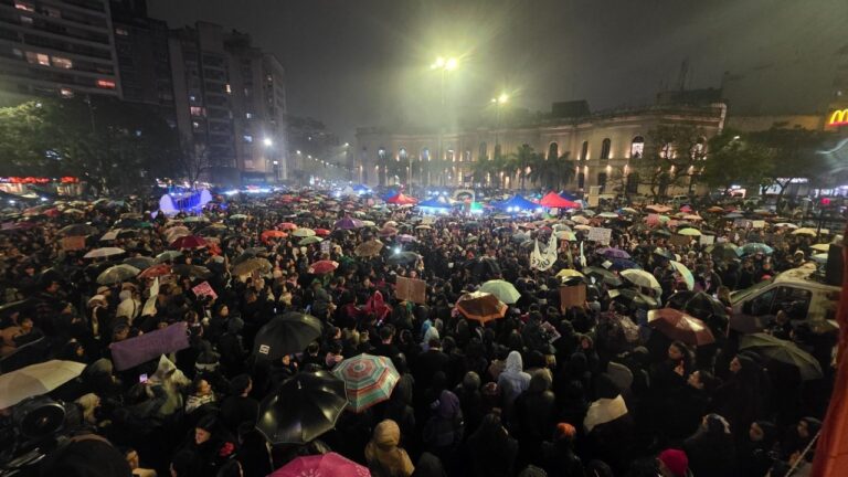 Mariela Marchisio, vicerrectora de la UNC, durante la marcha de Ni Una Menos en Córdoba