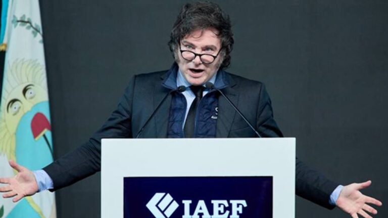 Javier Milei en el Senado