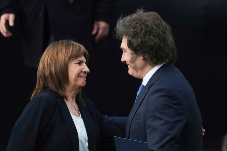 Patricia Bullrich en el Senado