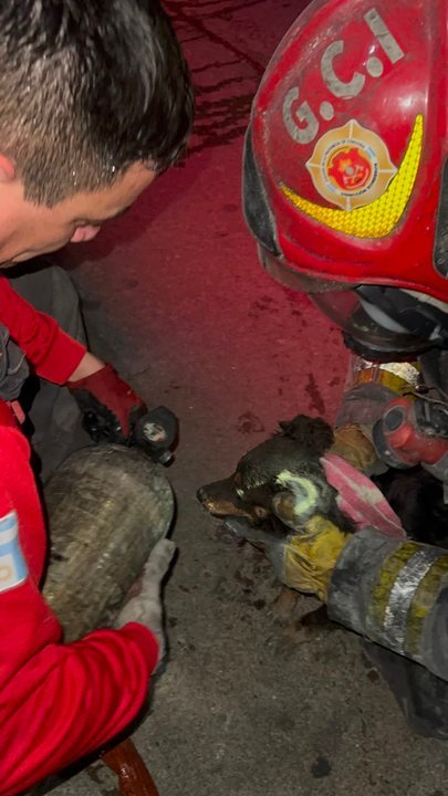 Bomberos trabajan en el incendio de un departamento en barrio Alberdi, Córdoba