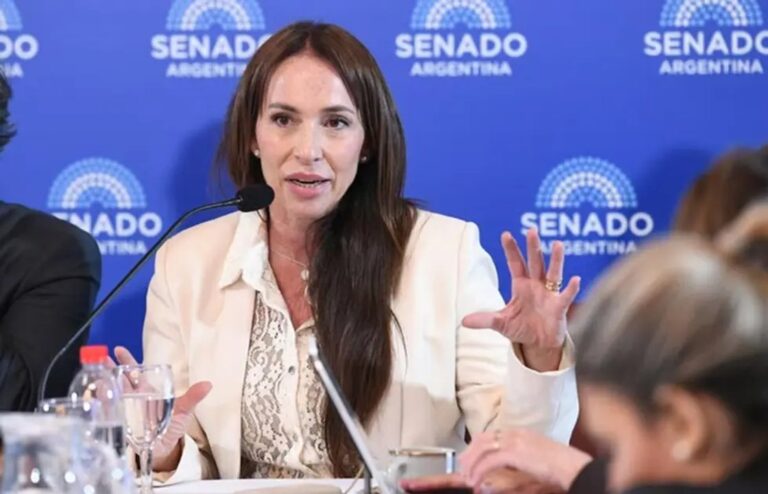 Sesión del Senado durante la votación del pliego de la jueza Michelli