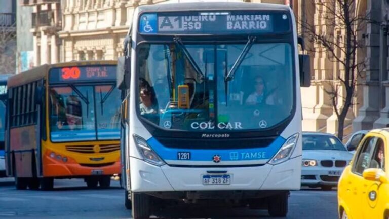 Colectivos de transporte urbano en la ciudad de Córdoba
