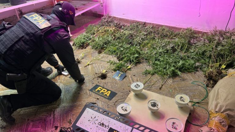 Operativo de la FPA en Alicia, Córdoba, con elementos incautados