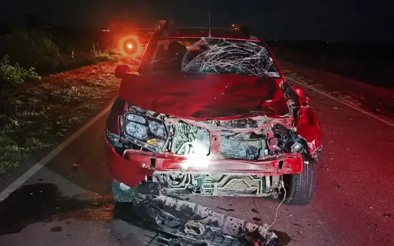 Camioneta Renault Duster con daños en el capot tras chocar contra una vaca en Morteros