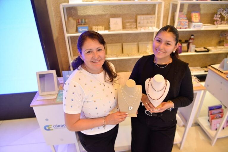 Captura de la plataforma digital de Córdoba Emprendedora