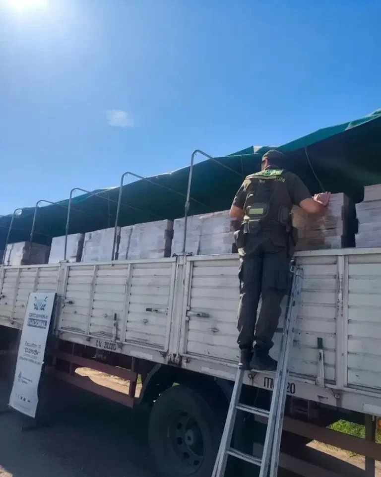 Latas de durazno secuestradas por Gendarmería en Formosa
