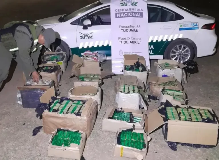 Efectivos de Gendarmería Nacional durante un control de transporte en ruta