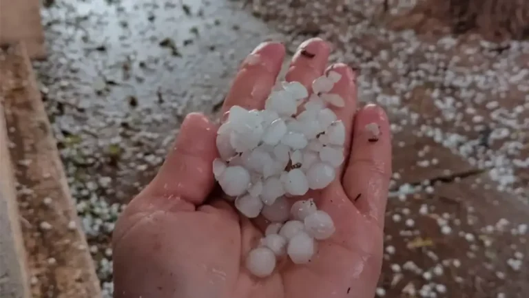 Campos cubiertos de granizo en Porteña, Córdoba