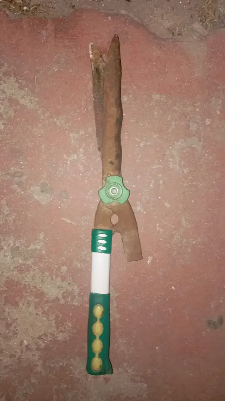 Policía en la vía pública